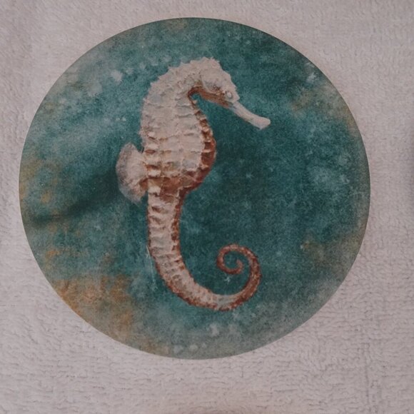 CoasterStone Set of 4 Drink Coasters Absorbent Seahorse Shell Beach Ocean Sea - Picture 6 of 11